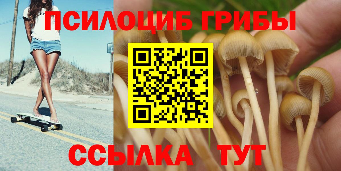 Галлюциногенные грибы Magic Shrooms Назрань